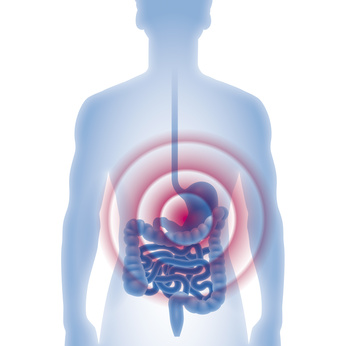 Magen, Darm, Magenmedizin, Untersuchung