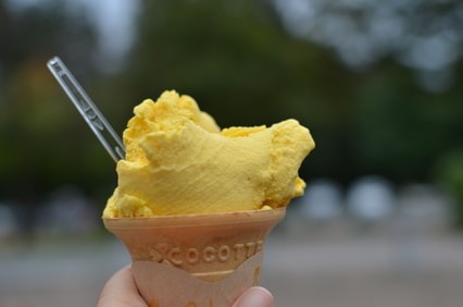 Fotolia_46078366_XS-min