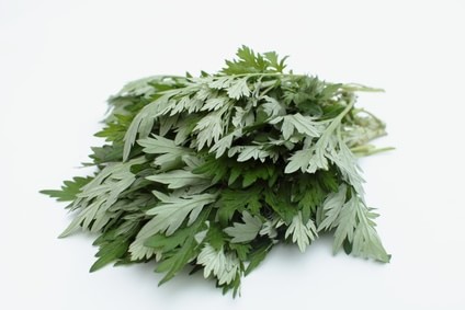 Fotolia_64206294_XS-min