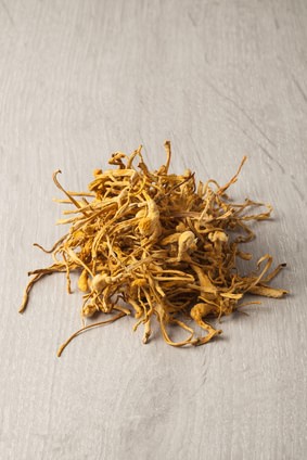 乾燥えのき エノキ