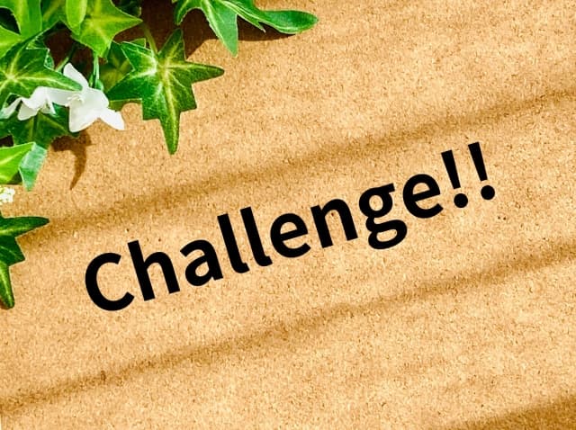 チャレンジの写真
