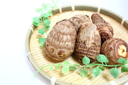 Fotolia_79781282_XS-min