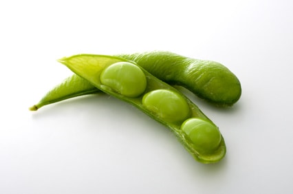 Fotolia_89394891_XS-min