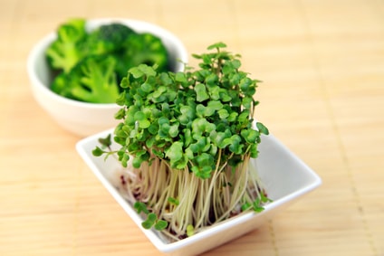 fotolia_99176333_xs-min