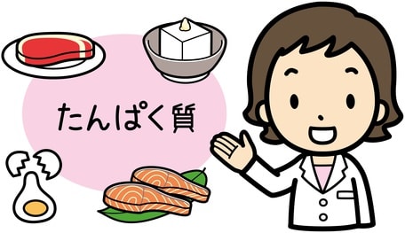 タンパク質を説明するイラスト