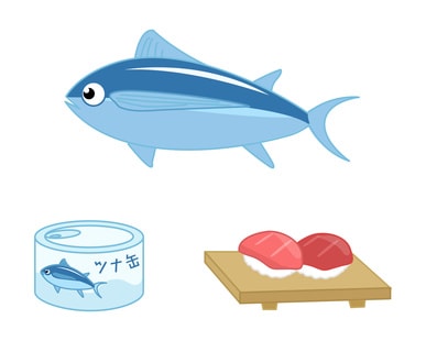 マグロとツナ缶とマグロの握り