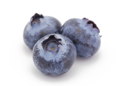 ブルーベリー