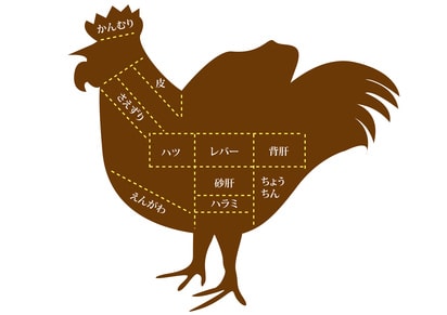 鶏 部位