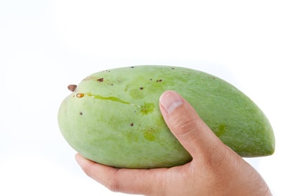 アフリカンマンゴー