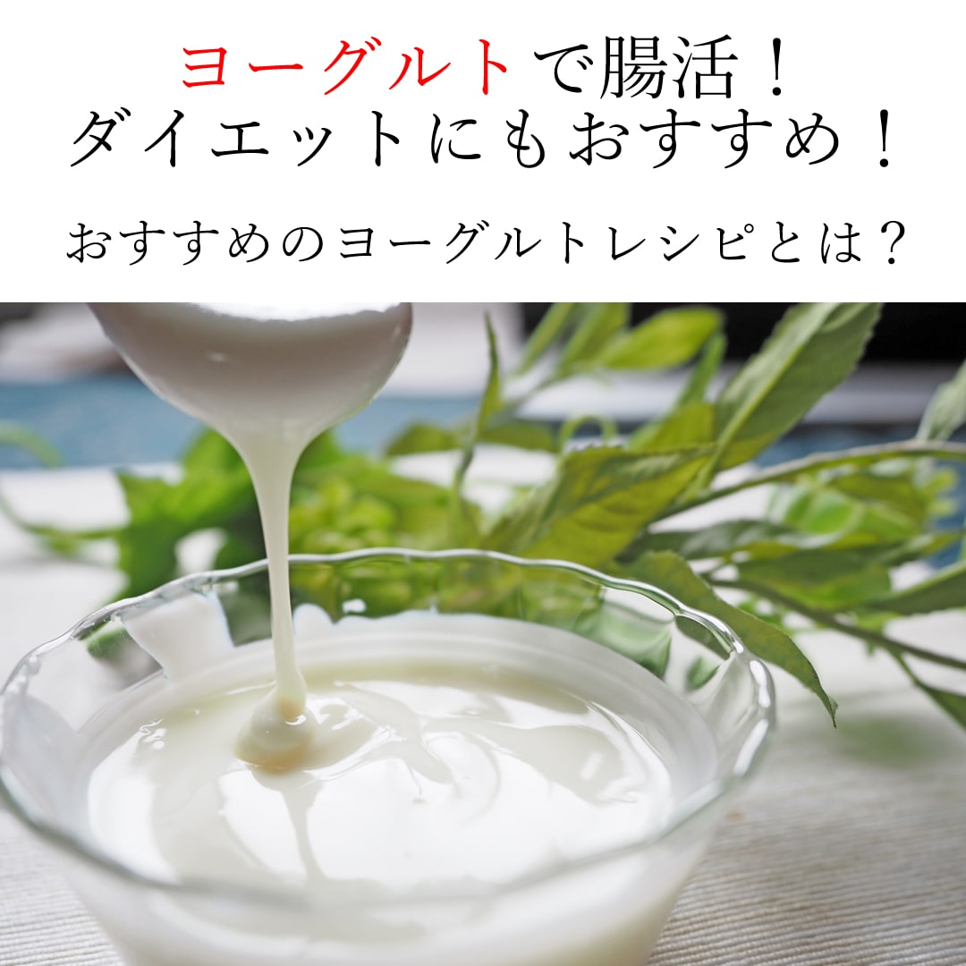 ヨーグルト
