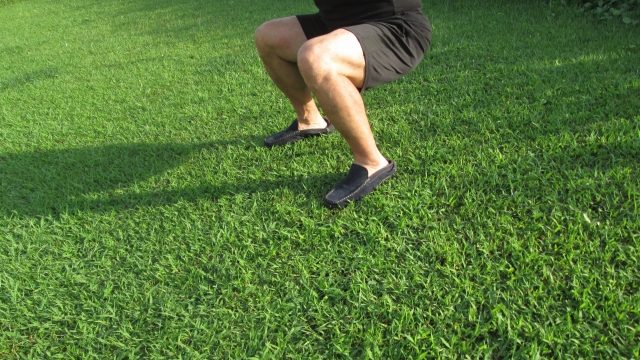 男性　スクワット