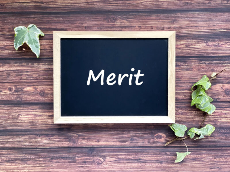 メリッのイラスト